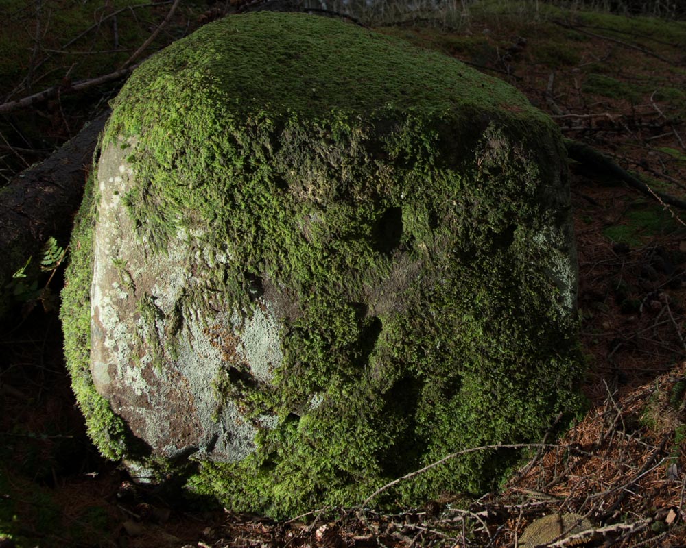 The decorated boulder.